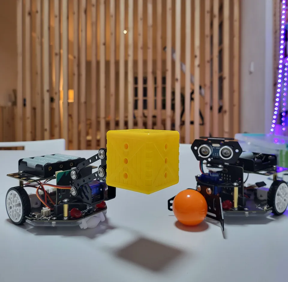 Robotics for Elementary School Students